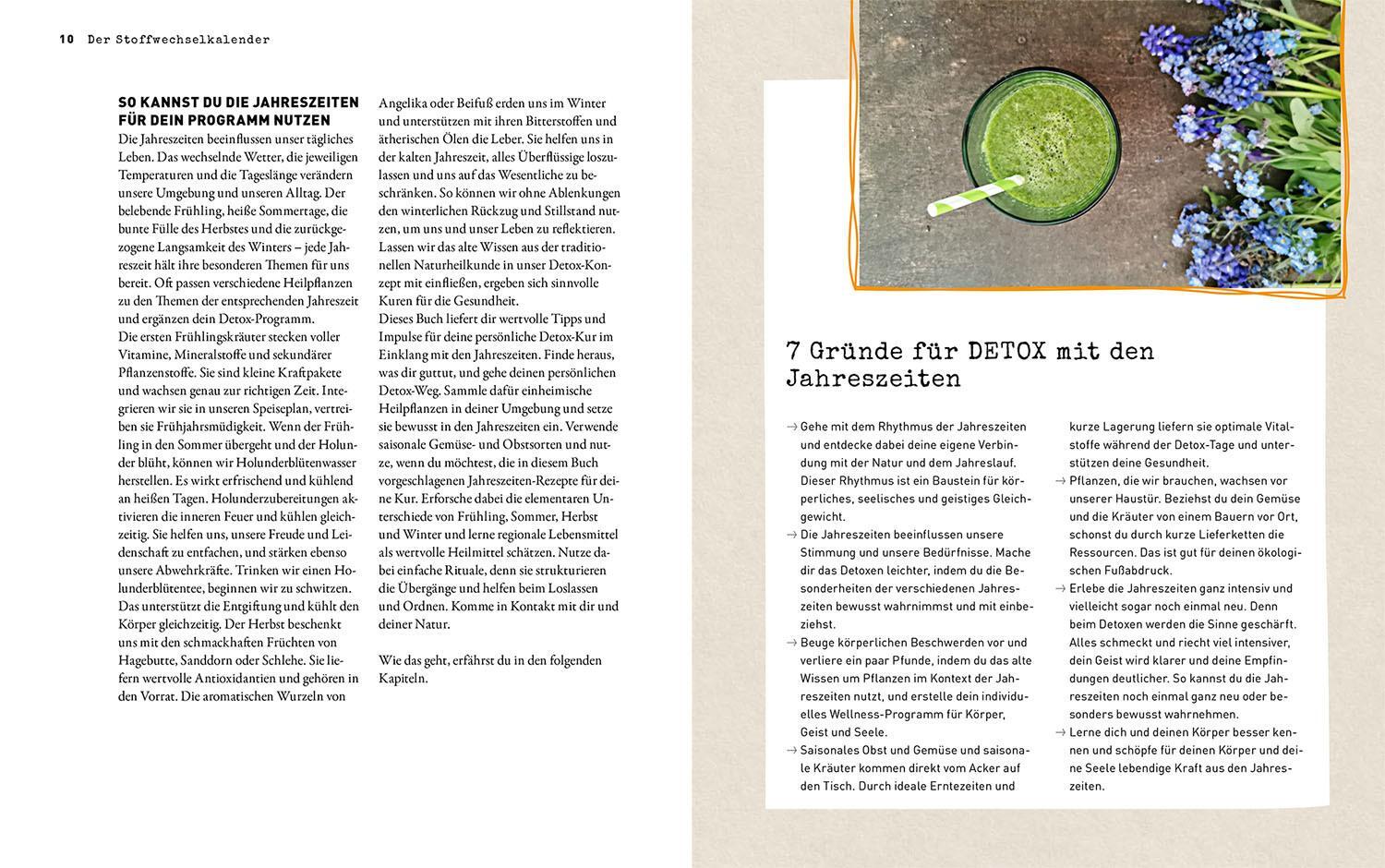 Thumbnail - Susanne Hackel Der Stoffwechsel-kalender