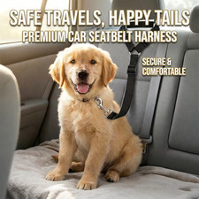Adjustable 2-In-1 Pet Car Seat Belt Leash Nylon Dog Cat Safety Harness for Trave