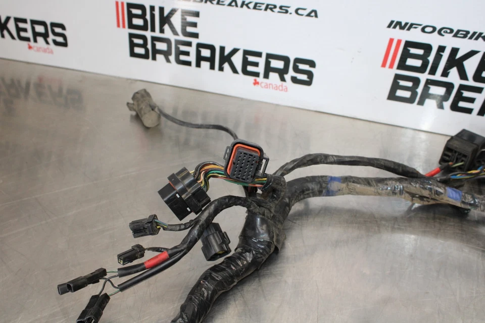 05 TRIUMPH ROCKET III CHICOTE DE FIOS DO MOTOR PRINCIPAL TEAR DE FIO DO MOTOR BB186 - Imagem 4 de 4