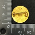 Picture 4 of 6