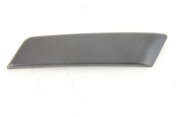Left Front BLIC 5510-00-6043921P Trim/Protection Strip, bumper for RENAULT