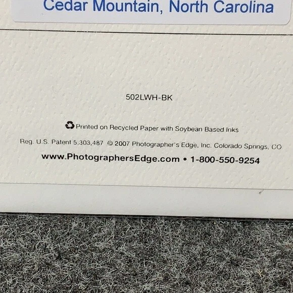 The Path Cedar Mountain North Carolina Blank Folded Card with Envelope Original - Image 4 of 4