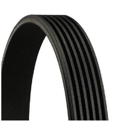 Continental-Ctam Keilrippenriemen 24957622 24452029 4414599 55354682