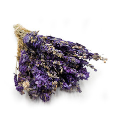 Getrockneter Rittersporn (Delphinium) - Blau