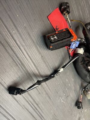 にーや しい にゃ にゃ One-of-One adidas ZX 8000 'Porcelain' Expected to Fetch