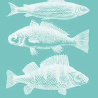 Ppd Riviera Fish Aqua Tisch Servietten 20 StüCk Tissue Hellblau Weiß 12.5 Cm