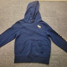 Abercrombie  Fitch Sleeve Spell Out Moose Logo Hoodie Mens L Blue Muscle Y2K