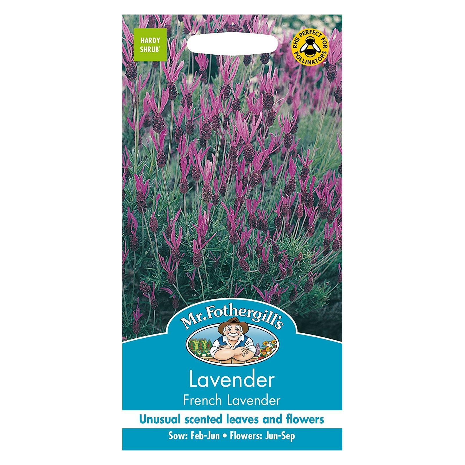 Mr Fothergills Flower Seeds French Lavender Unusual Scented Evergreen Leaves