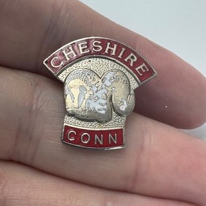 Vintage Cheshire Connecticut Ram Ram's Head Lapel Pin