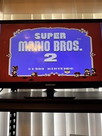 Super Mario Bros 2 (NES) Cartridge with Manual  AUTHENTIC WORKS GREAT