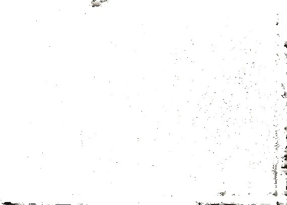 Animal Print-Telas artesanales Tapicería Negro Cocodrilo