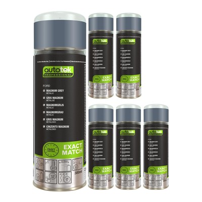 Autotek schnelltrocknender hochdeckender Aerosol-Sprühlack Ford Magnum Grey 300 ml x6