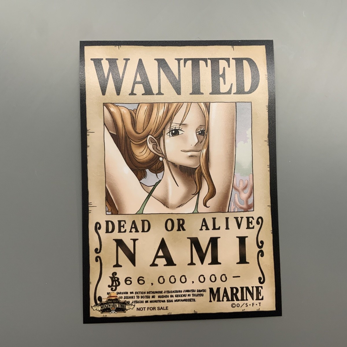 Official Luffy + Zoro + Nami Wanted Poster (Mugiwara Store