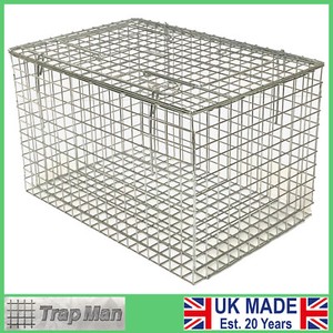 cat backpack pokemon