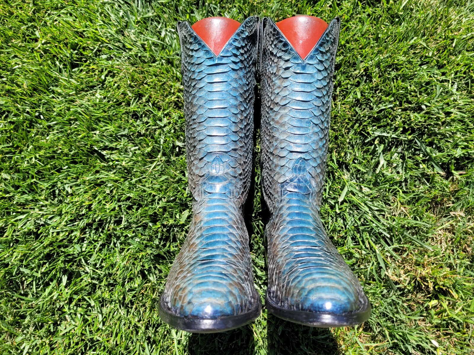 10.5 D ⭐ ANDERSON BEAN ⭐ BLUE ⭐ PYTHON ⭐ SNAKE ⭐ … - image 1