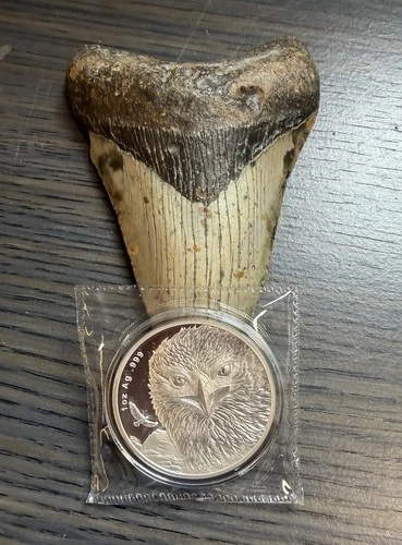 2024 Samoa 1 oz Silver Golden Eagle Proof Like Sealed.