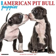 American Pit Bull Terrier Puppies 2026 12" x 12" Wall Calendar (free shipping)