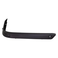 Bumper Face Bar Trim Molding Step Pad Rear Passenger Right Side Hand for 1500