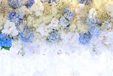 Beautiful White Blue Flowers Background Wedding Photo Backdrop 7x5ft