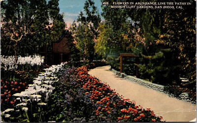 PC Flowers in Abundance Line Paths in Mission Cliff Gardens San Diego California