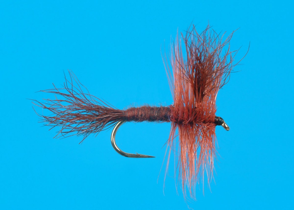 Brown Wulff, size 12