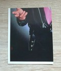 Bild 82 von 300