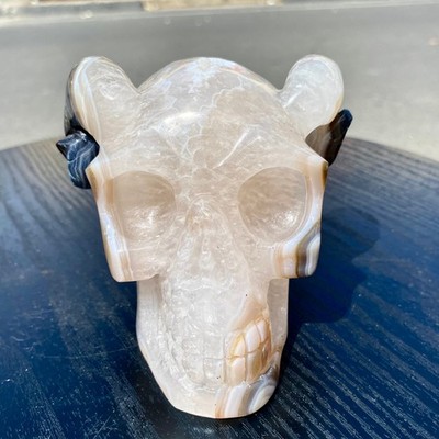 2.7LBNatural Druzy Agate Geode Ram Skull With Curved Horns Vintage Gothic Healin