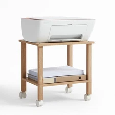 2-Tier Rolling Printer Stand with Storage for Office, Under Desk Shelf
