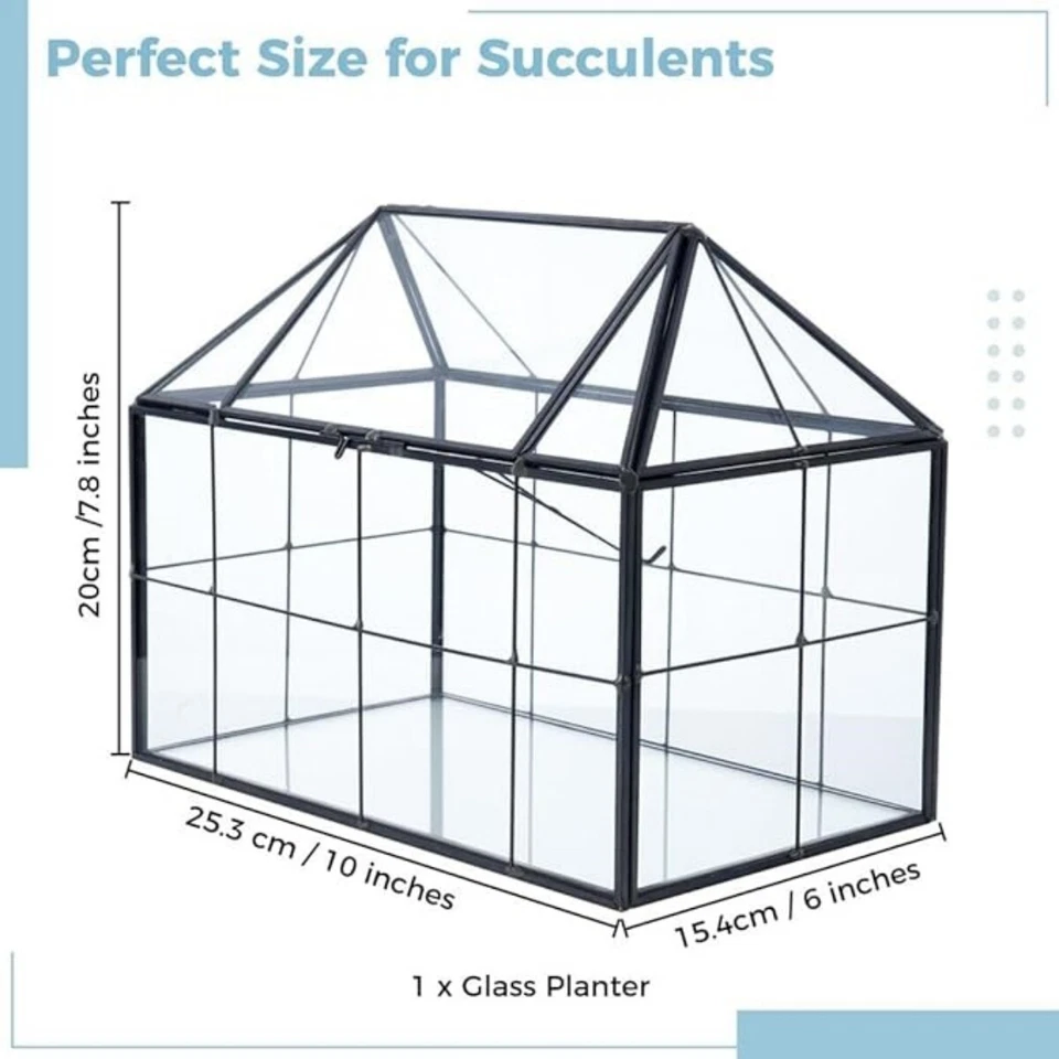 Glass Terrarium House Planter – Succulent Plant Glass Greenhouse with Lid AU - image 4 of 4