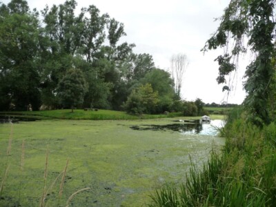 Foto 6x4 Stromquelle, Pakenham Wassermühle Grimstone Schaftfräser Teich, immed c2015