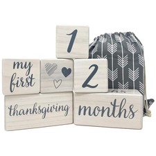 Baby Milestone Blocks Natural Pine Wood 6 Set Picture Props With Bag