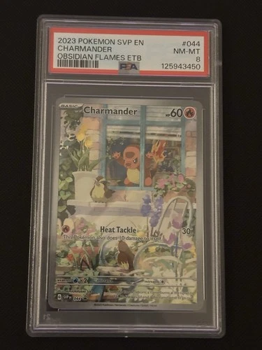 Pokémon TCG Charmander Obsidian Flames ETB Promo PSA 8