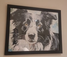 Border Collie Colourful Acrylic Painting on Canvas Black FRAMED 