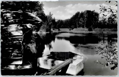 51096327 - 8591 Friedenfels Silent Forest Lake on the Oat Deck