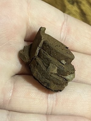 BIG Spanish? Shipwreck Clump Colonial Era Iron? Found San Diego MANY COINS 27 Gr