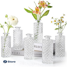Kleine Glasvasen Set 6 Stück Vintage Design 13cm Hoch Transparent
