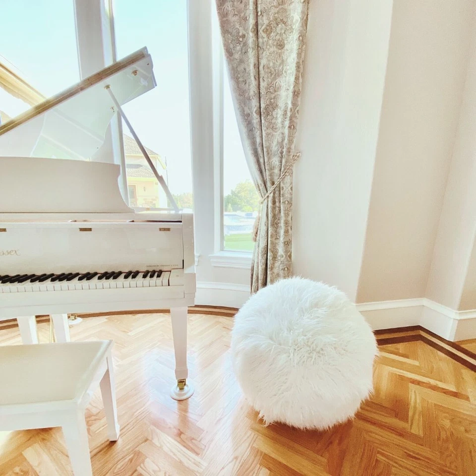 Capa macia para bola de exercício fitness ioga estabilidade 65cm (cadeira de escritório, decoração +) - Imagem 4 de 4