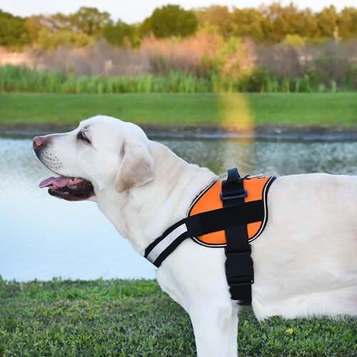 Dog Harness, Reflective No-Pull Adjustable Vest with Girth 22" to 28" Orange Dog Harness, Reflective No-Pull Adjustable Vest with Girth 22" to 28" Orange