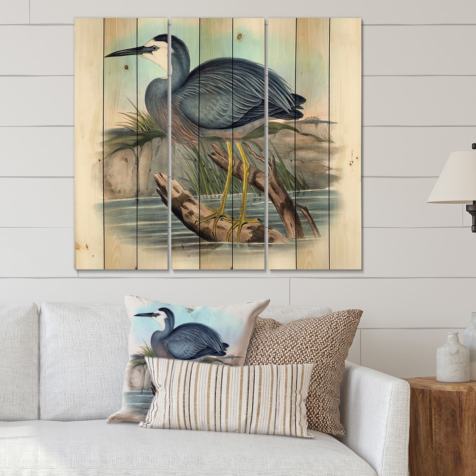 Designart 'Vintage Australian Birds II' Traditional Print on