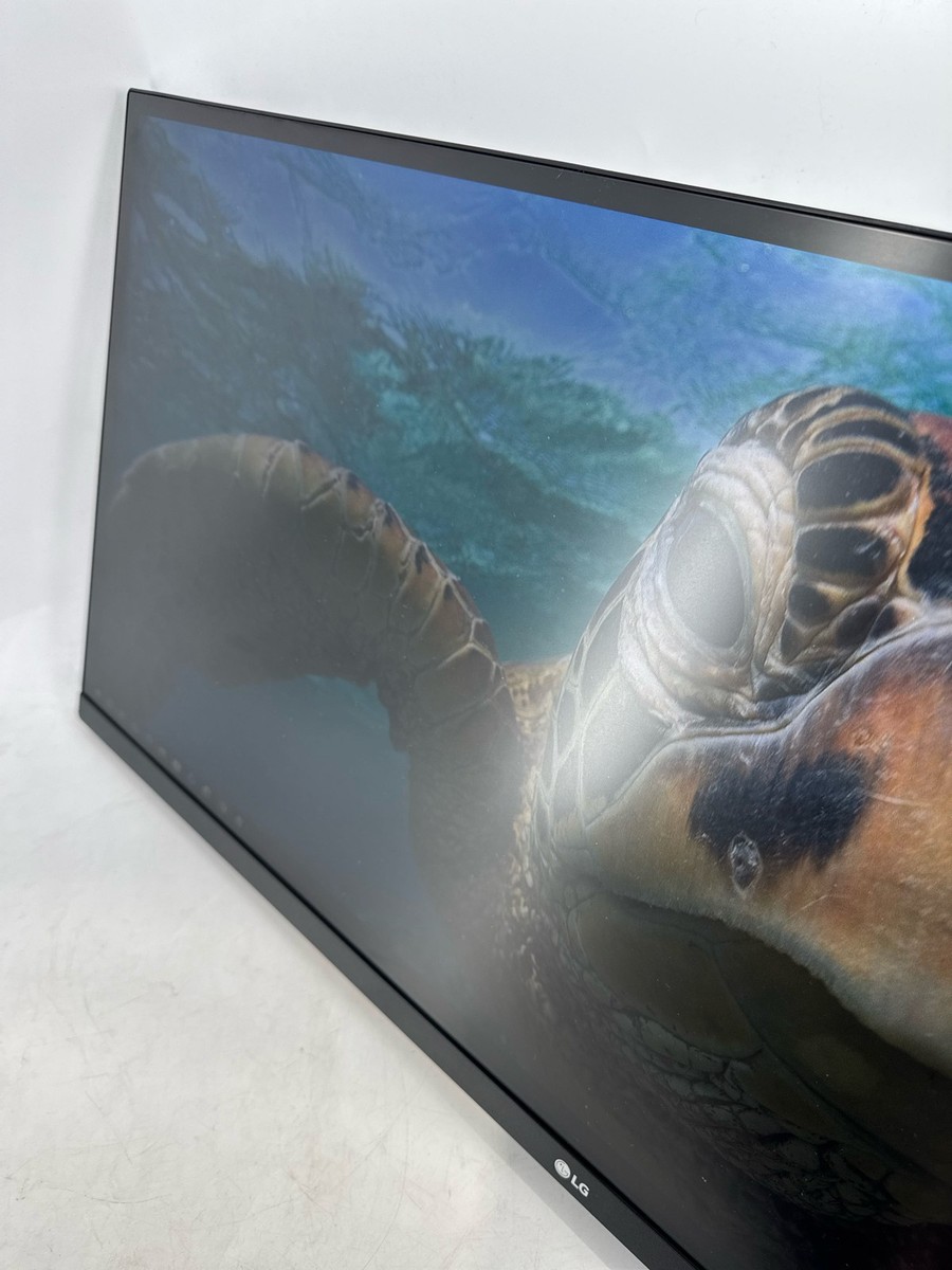 LG Ultrawide 34WL500B 34 inch Widescreen IPS LED Monitor for sale