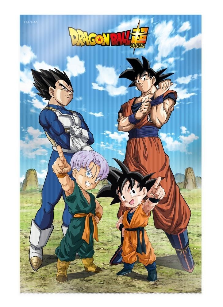 Poster 3D Dragon Ball Super Goku et Vegeta effet relief 30x40cm