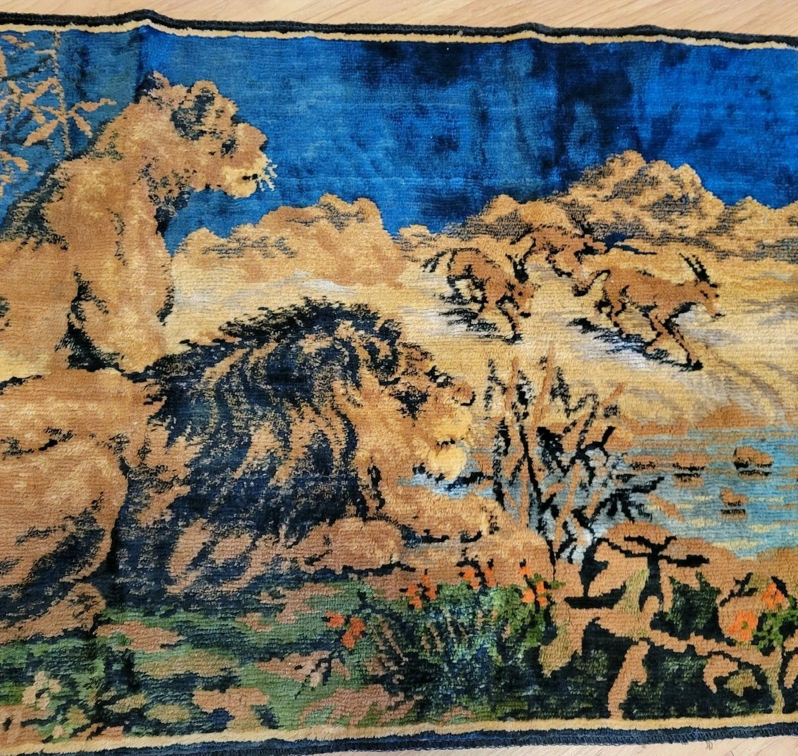 Picture 5 of 12