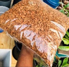 Coconut coco Husk Chips Homemade - great additive to orchid mixes and citrus