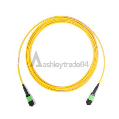 MPO/MTP Female Trunk Cable 12 Fibers Type A Singlemode Fiber Patch Cord 30M