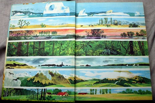 vntg 1973 Jane Werner Watson~Gerda Muller STORIES FROM NATURE ecological niches - Picture 4 of 8