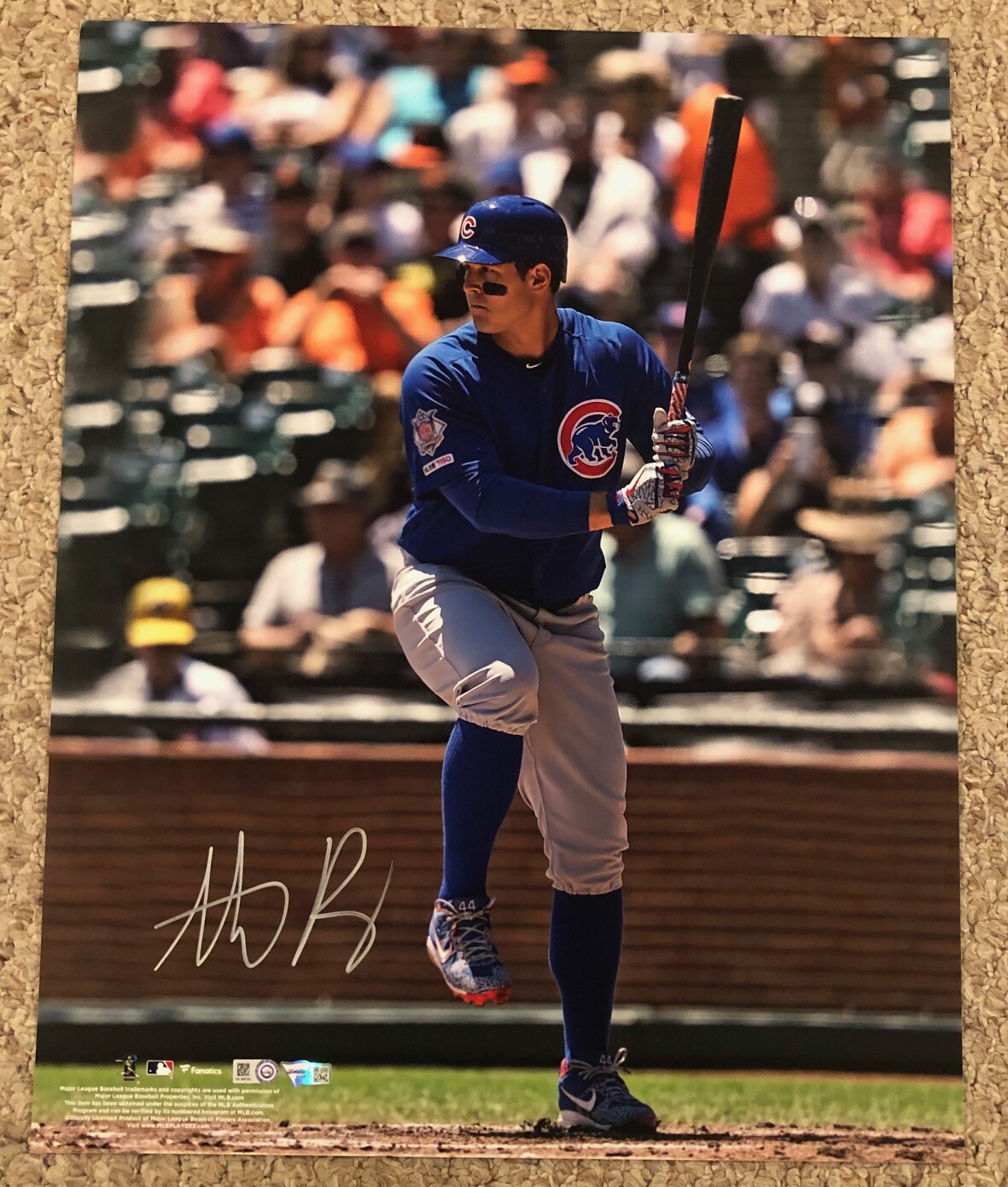 Anthony Rizzo Autographed Memorabilia | Signed Photo, Jersey ...