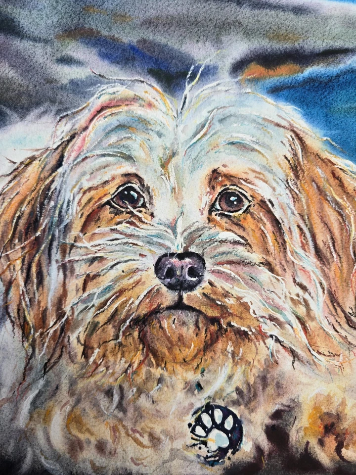 Peinture originale aquarelle pour chien Shih Tzu - art mural portrait... - Photo 3/3