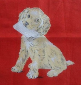 red spaniel puppy