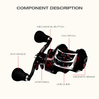 Ultralight Fishing Baitcasting Reel 18+1BB 7.1:1 Gear Ratio Left Right Hand | eBay Ultralight Fishing Baitcasting Reel 18+1BB 7.1:1 Gear Ratio Left Right Hand | eBay