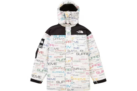 Parka Supreme The North Face TNF Coldworks 700 Fill Down blanche taille L